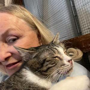 Meet your Posher, Ann